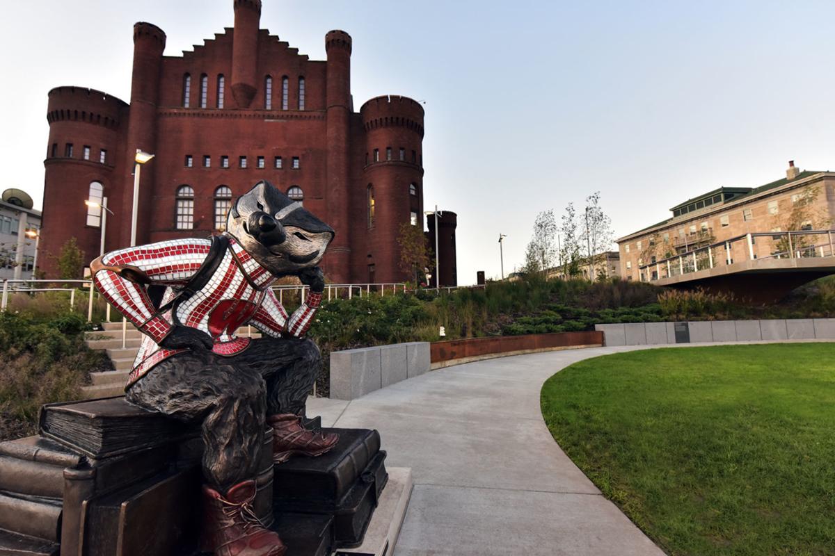 Bucky the badger